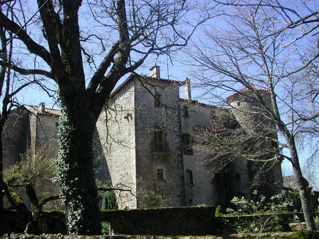 Chateau Du Cros Le Cros Exterior photo